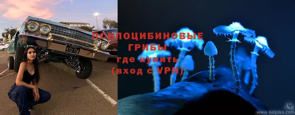 соль ск Алзамай