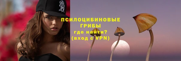 apvp Абинск