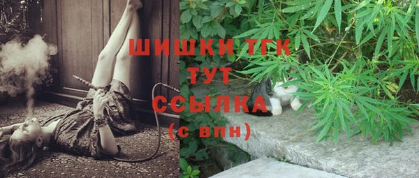 гашик Алексеевка