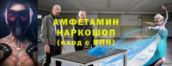 гашик Алексеевка