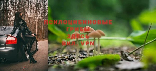 круглые Абаза