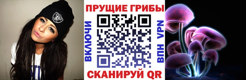 Псилоцибиновые грибы мухоморы  магазин продажи наркотиков  Миллерово 